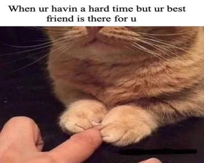 Random Memes and Jokes (718) Thumbnail